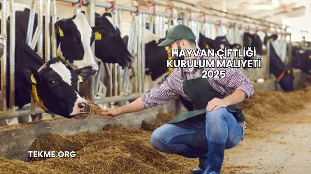 Hayvan Çiftliği Kurulum Maliyeti 2025