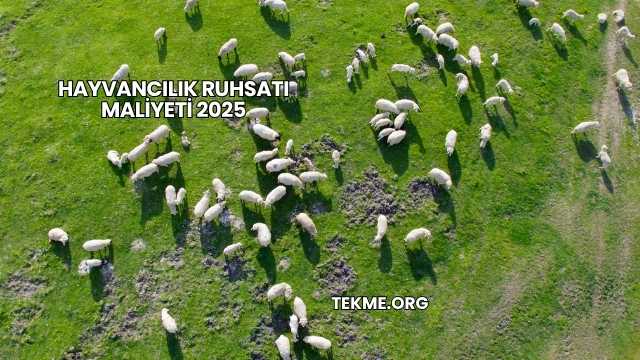 Hayvancılık Ruhsatı Maliyeti 2025