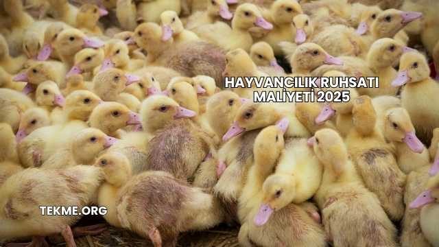 Hayvancılık Ruhsatı Maliyeti 2025
