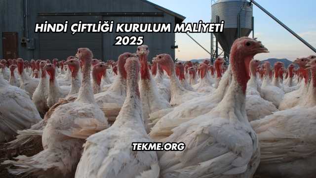 Hindi Çiftliği Kurulum Maliyeti 2025