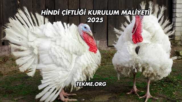 Hindi Çiftliği Kurulum Maliyeti 2025