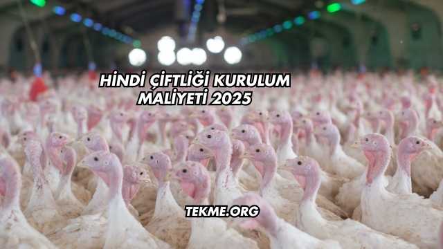 Hindi Çiftliği Kurulum Maliyeti 2025
