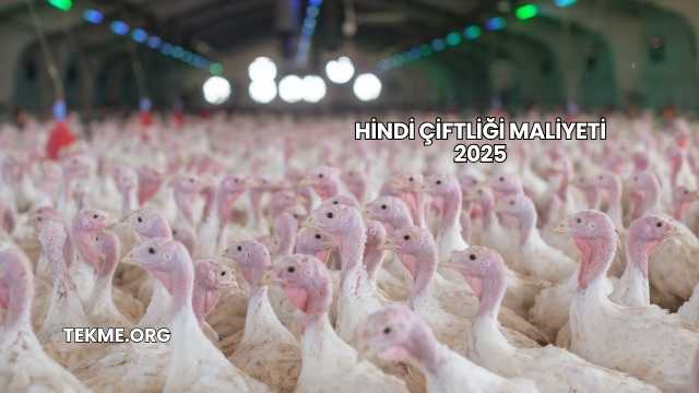 Hindi Çiftliği Maliyeti 2025