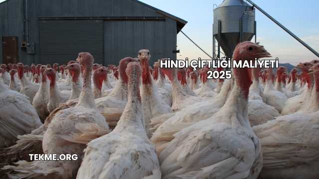 Hindi Çiftliği Maliyeti 2025
