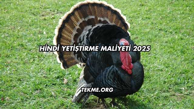Hindi Yetiştirme Maliyeti 2025