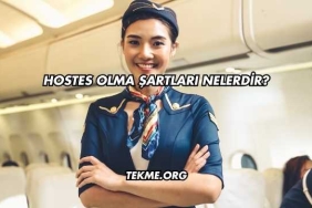 Hostes Olma Şartları Nelerdir?