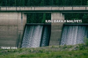 Ilısu Barajı Maliyeti