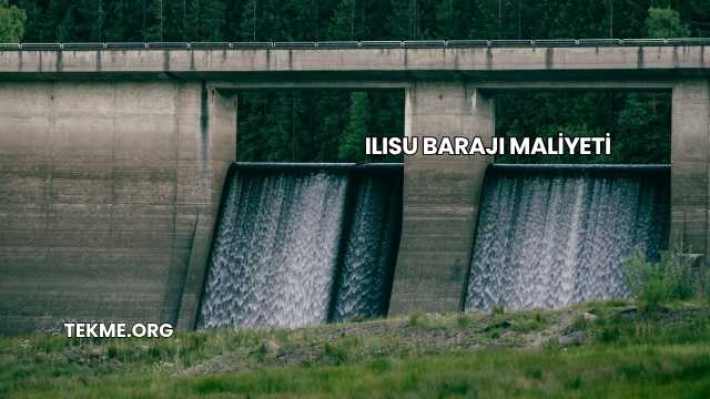 Ilısu Barajı Maliyeti