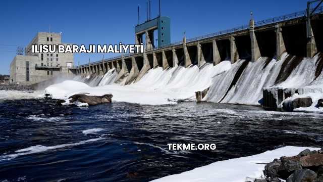 Ilısu Barajı Maliyeti