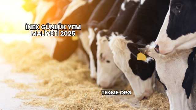 İnek Günlük Yem Maliyeti 2025