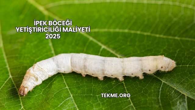 İpek Böceği Yetiştiriciliği Maliyeti 2025