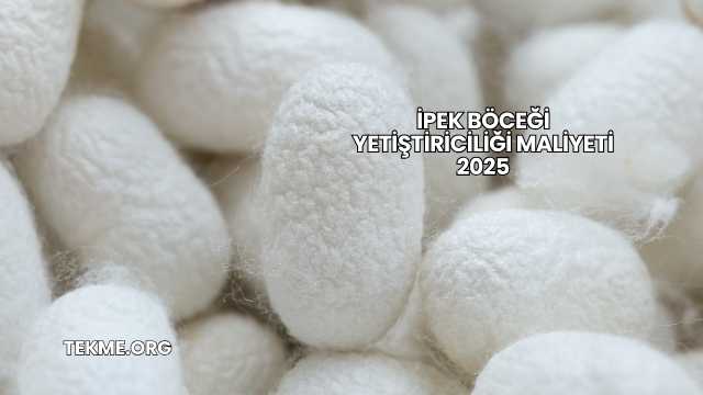 İpek Böceği Yetiştiriciliği Maliyeti 2025