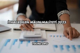İthal Edilen Malın Maliyeti 2025