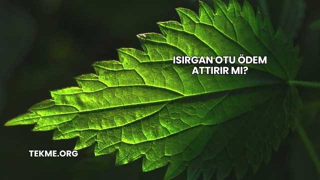 Isırgan Otu Ödem Attırır mı?