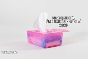Islak Mendil Üretiminin Maliyeti 2025