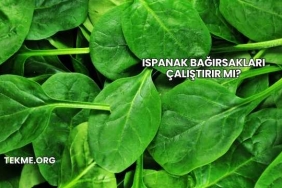 Ispanak Bağırsakları Çalıştırır mı?