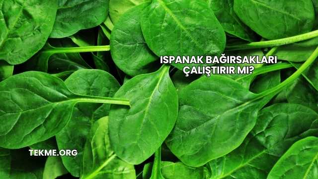 Ispanak Bağırsakları Çalıştırır mı?