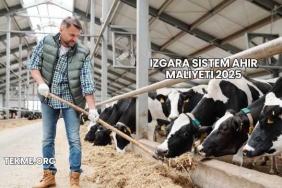 Izgara Sistem Ahır Maliyeti 2025