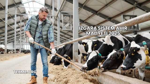 Izgara Sistem Ahır Maliyeti 2025