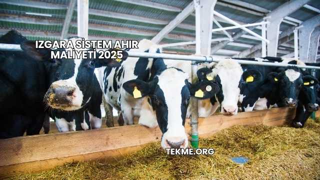 Izgara Sistem Ahır Maliyeti 2025