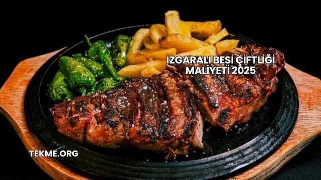 Izgaralı Besi Çiftliği Maliyeti 2025