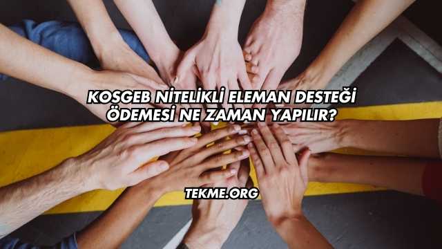 KOSGEB Nitelikli Eleman Desteği Ödemesi Ne Zaman Yapılır?
