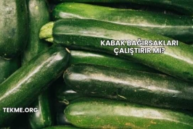 Kabak Bağırsakları Çalıştırır mı?