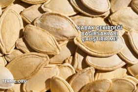 Kabak Çekirdeği Bağırsakları Çalıştırır mı?