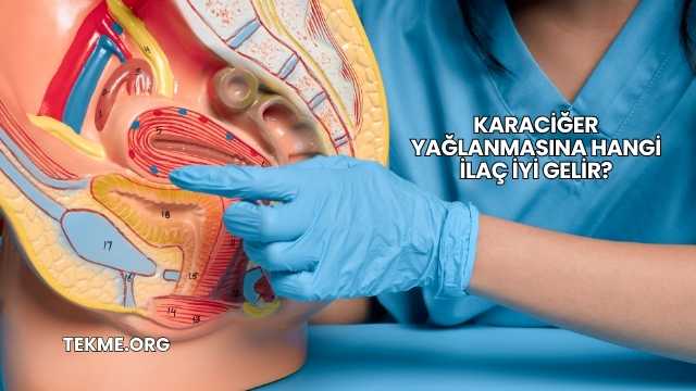 Karaciğer Yağlanmasına Hangi İlaç İyi Gelir?