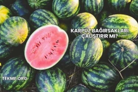 Karpuz Bağırsakları Çalıştırır mı?
