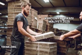 Karton Fabrikası Maliyeti 2025