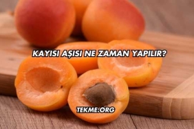 Kayısı Aşısı Ne Zaman Yapılır?