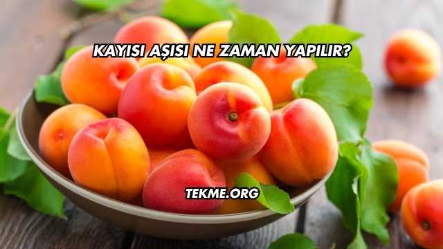 Kayısı Aşısı Ne Zaman Yapılır?