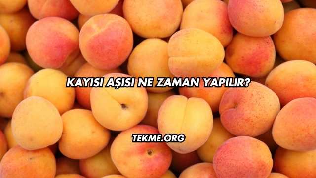 Kayısı Aşısı Ne Zaman Yapılır?