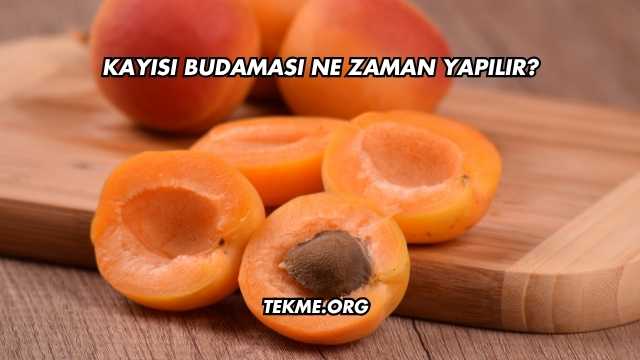 Kayısı Budaması Ne Zaman Yapılır?