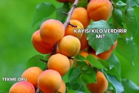 Kayısı Kilo Verdirir mi?