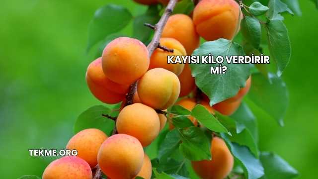 Kayısı Kilo Verdirir mi?