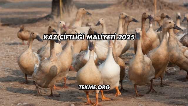 Kaz Çiftliği Maliyeti 2025