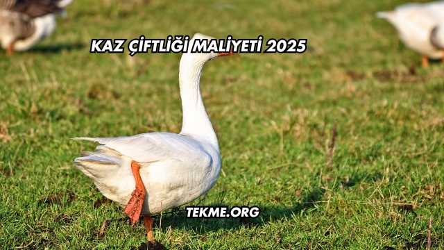 Kaz Çiftliği Maliyeti 2025