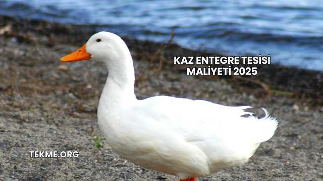 Kaz Entegre Tesisi Maliyeti 2025