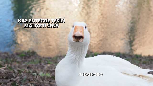 Kaz Entegre Tesisi Maliyeti 2025