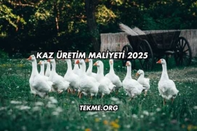 Kaz Üretim Maliyeti 2025