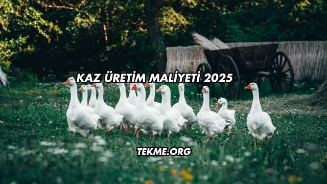 Kaz Üretim Maliyeti 2025