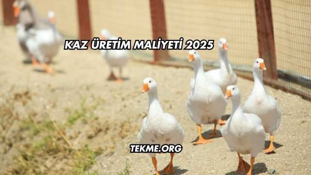 Kaz Üretim Maliyeti 2025