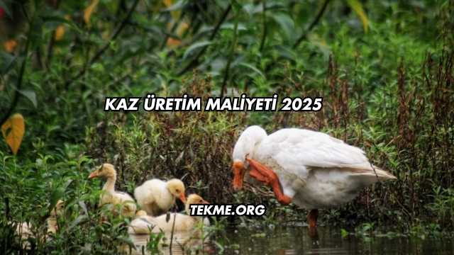 Kaz Üretim Maliyeti 2025