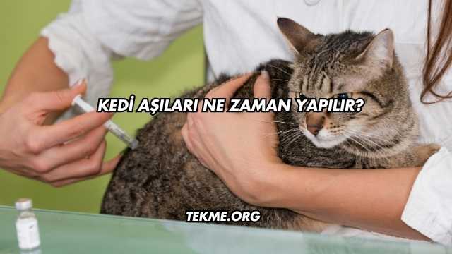 Kedi Aşıları Ne Zaman Yapılır?