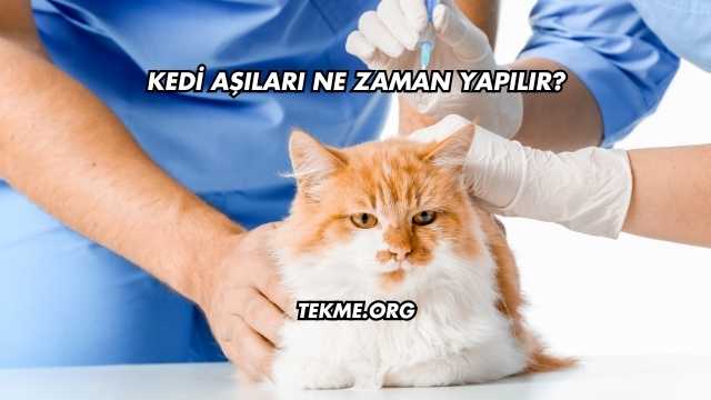 Kedi Aşıları Ne Zaman Yapılır?