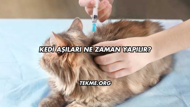 Kedi Aşıları Ne Zaman Yapılır?