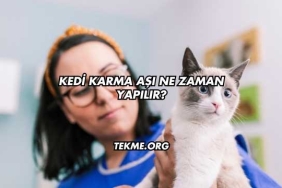Kedi Karma Aşı Ne Zaman Yapılır?