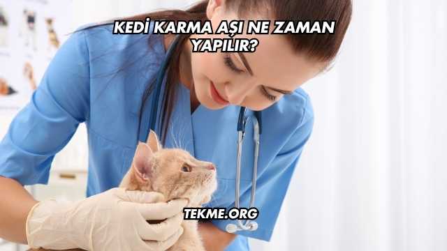 Kedi Karma Aşı Ne Zaman Yapılır?